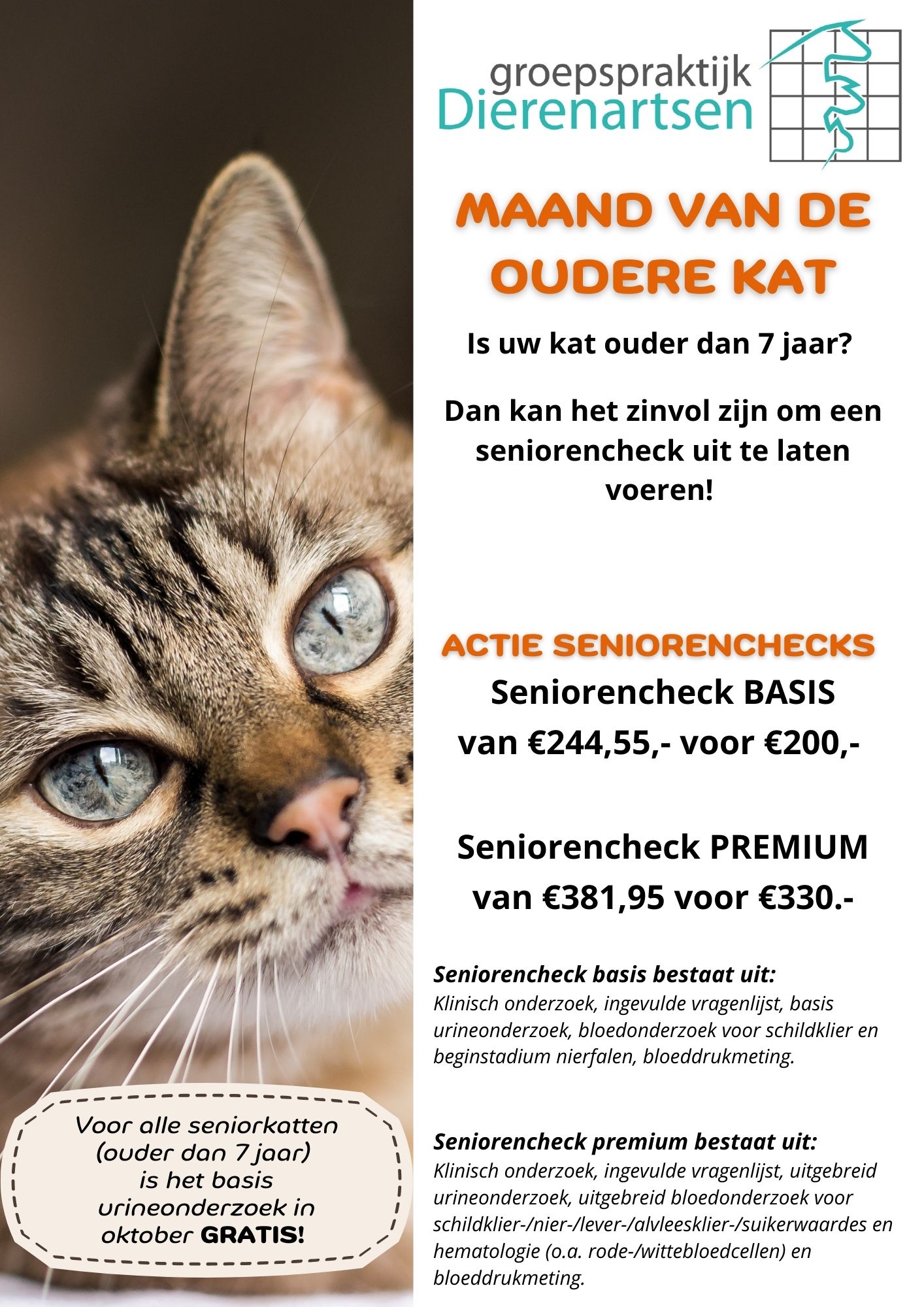 nieuws hond kat barneveld dierenarts harskamp poes kater