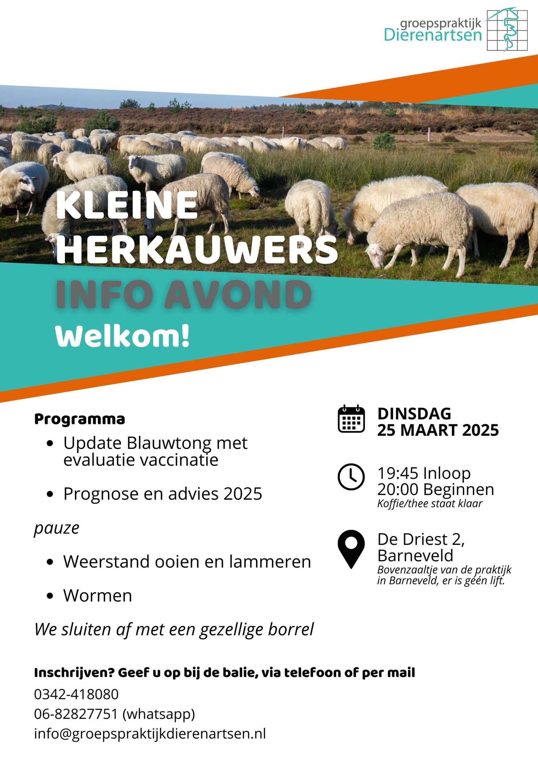 schapen geiten kleine herkauwers vee hobbydieren landbouwhuisdieren