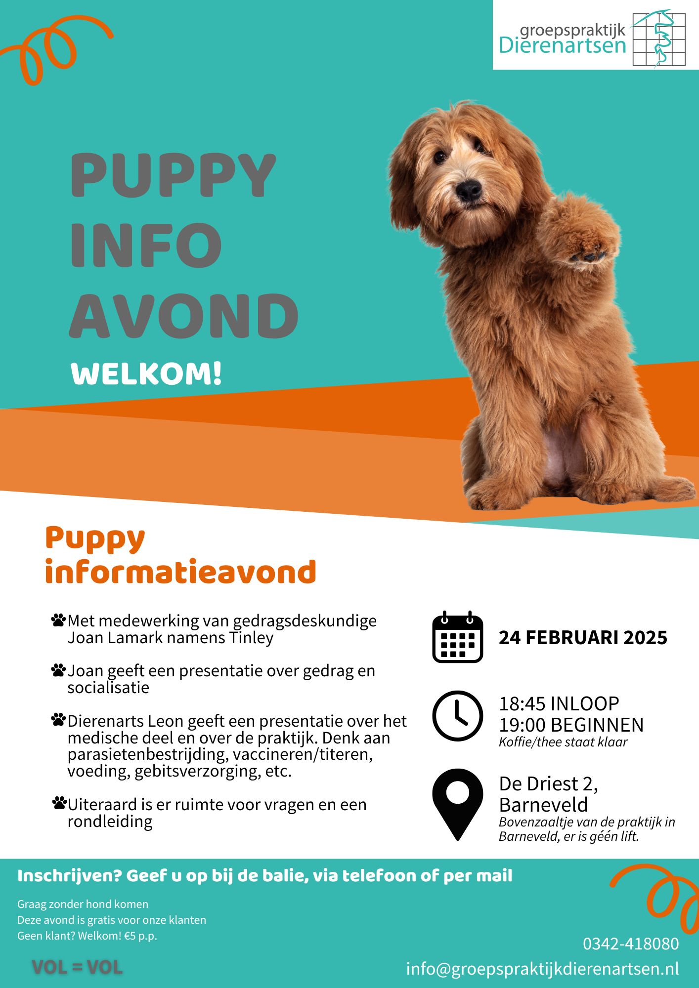 nieuws hond kat barneveld dierenarts harskamp hond pup puppy labradoodle doodle